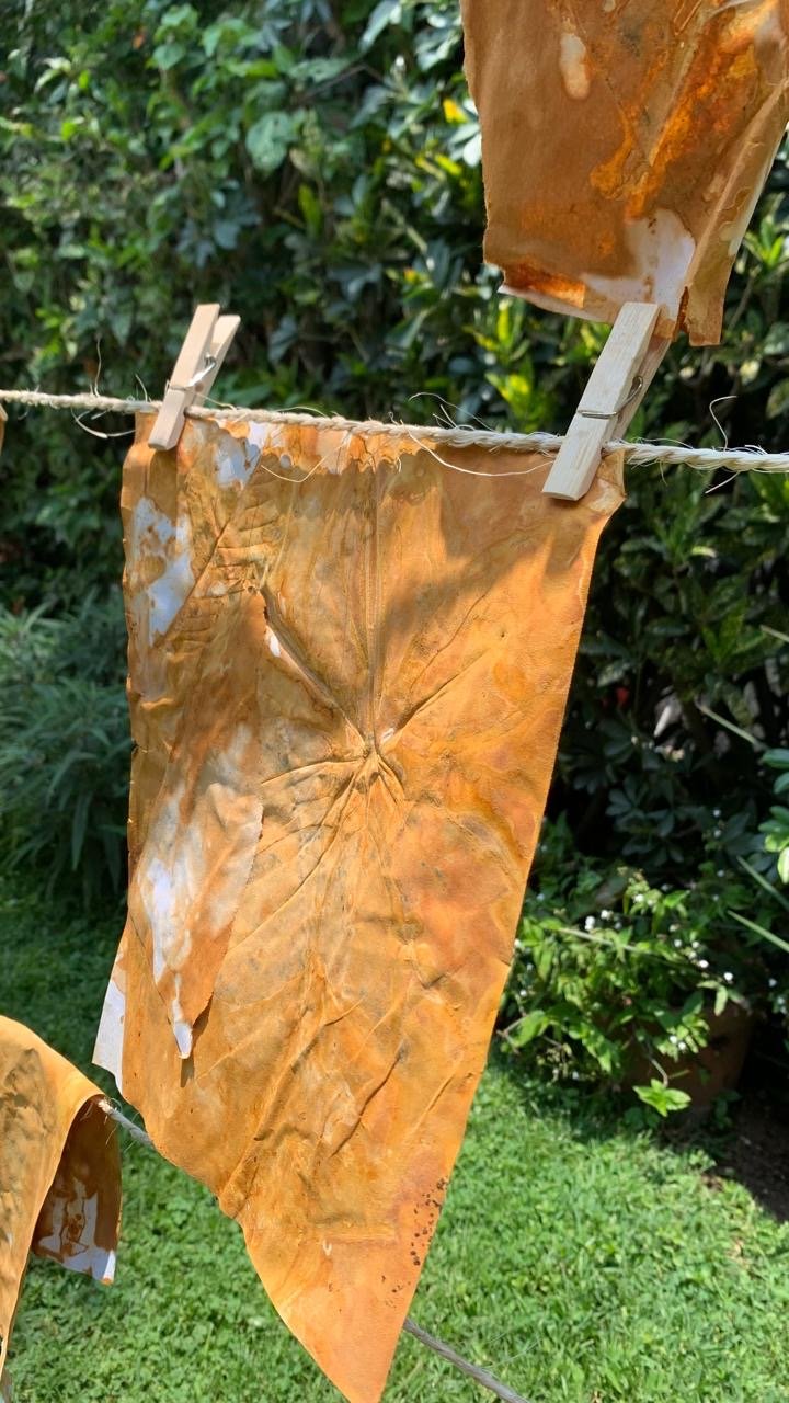 una hoja de óxido colgada al sol
